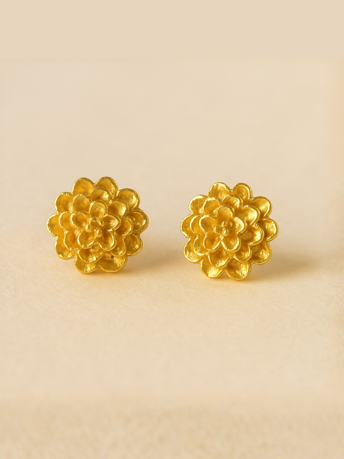 Chrysanthemum Studs